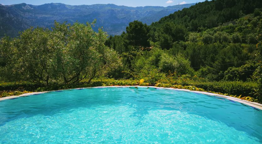 Photo of The Citrus House