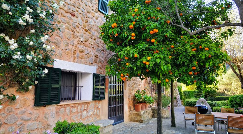 Photo of The Citrus House