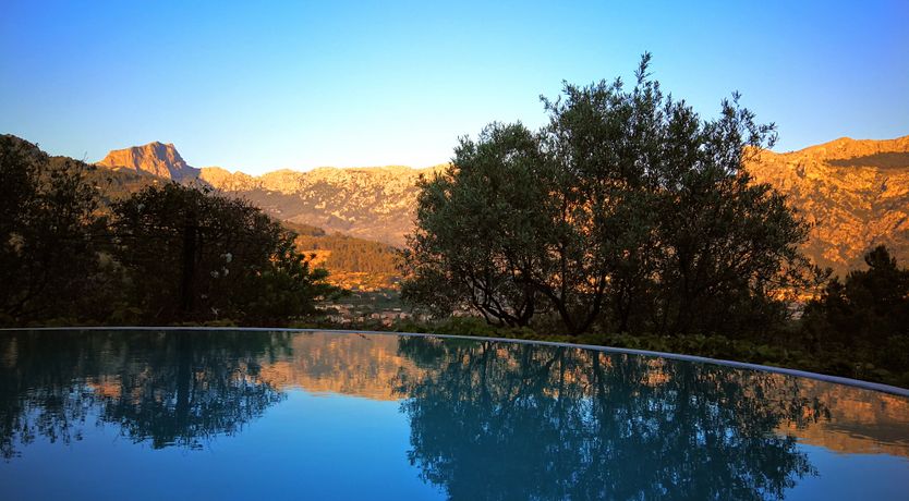 Photo of The Citrus House