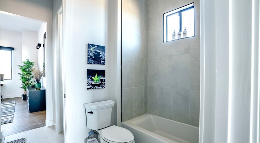 Photo of Desert Thrills