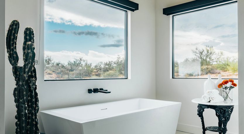 Photo of Desert Thrills