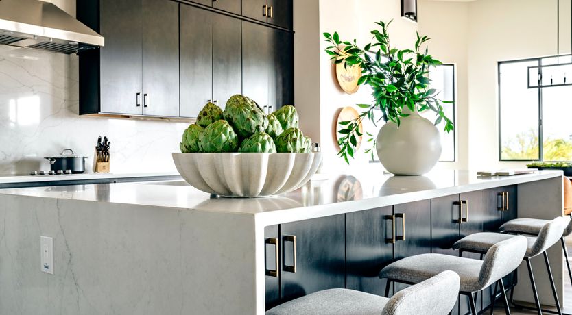 Photo of Desert Thrills