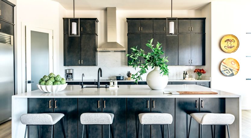 Photo of Desert Thrills