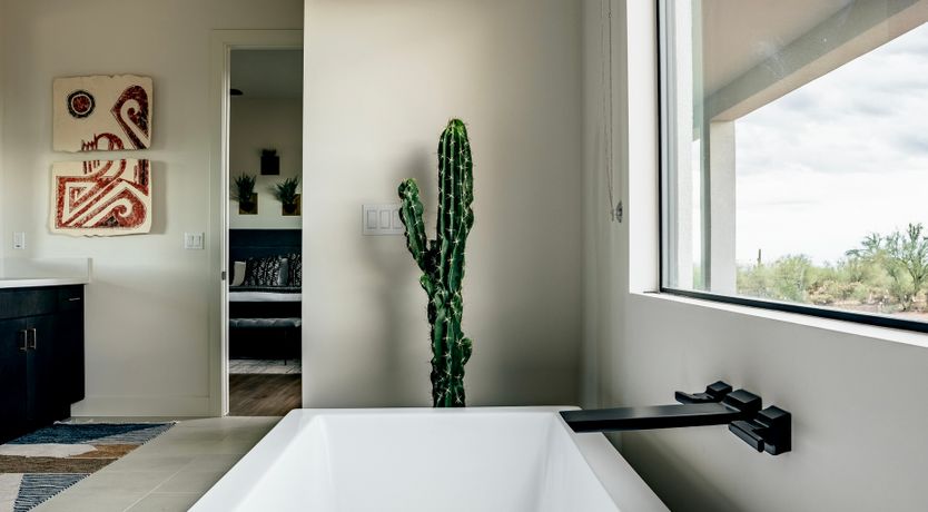 Photo of Desert Thrills