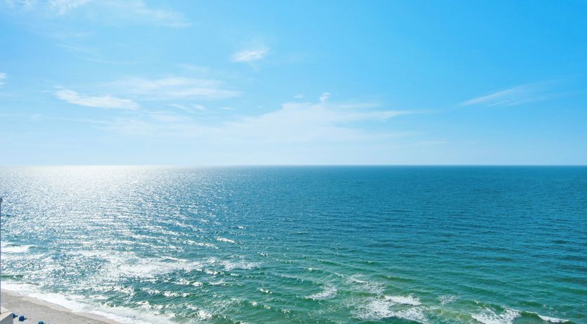 Photo of Gazing at the Gulf