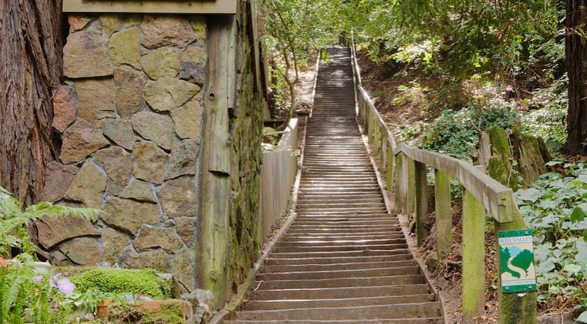 Photo of Redwood Hideaway