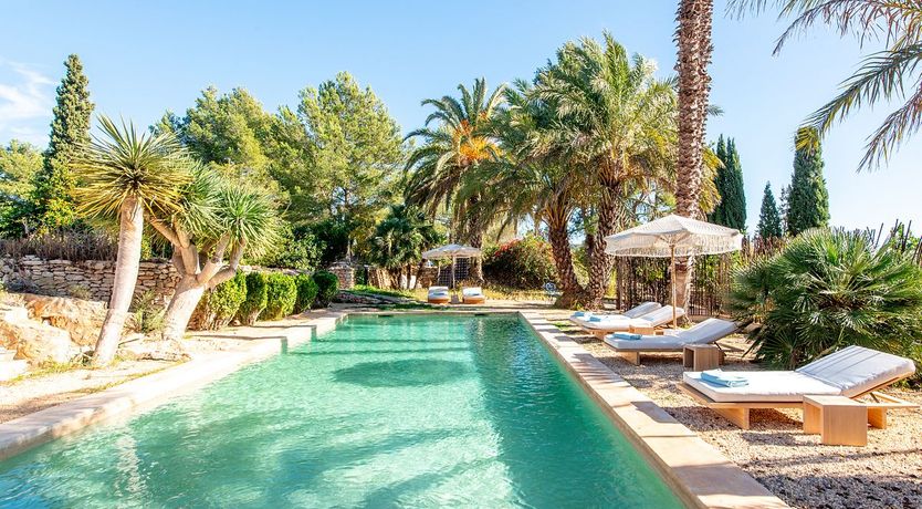 Photo of Nectar of Love