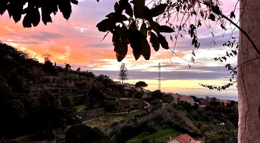 Photo of Atlantic Aria