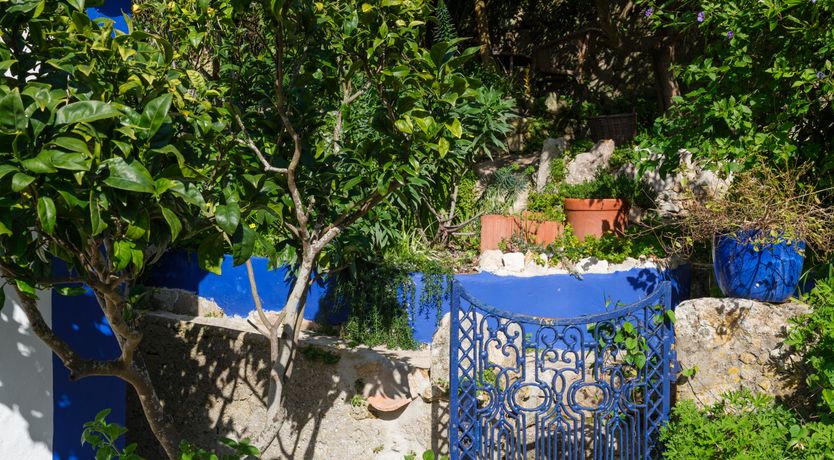 Photo of Atlantic Aria