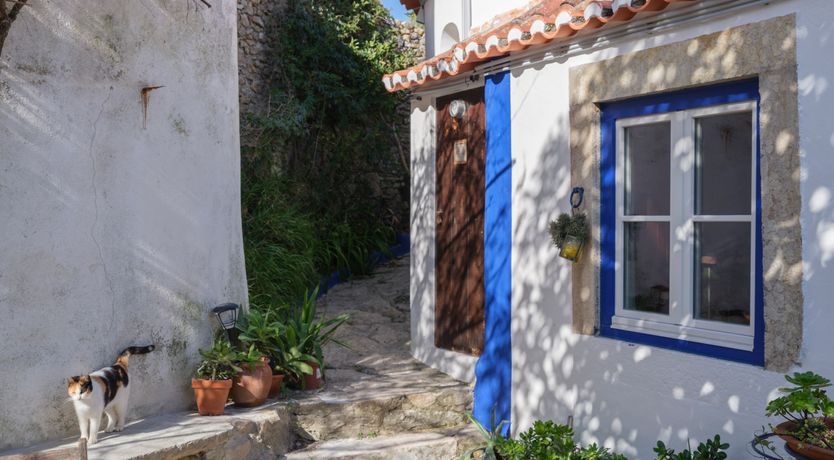 Photo of Atlantic Aria