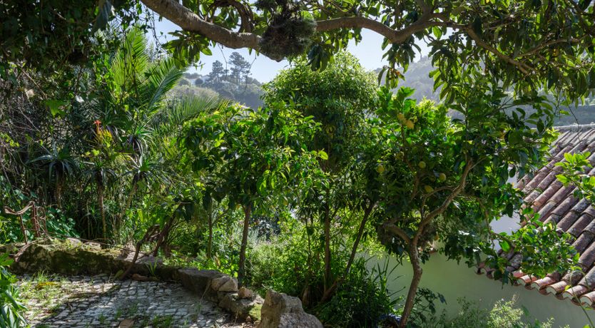 Photo of Atlantic Aria