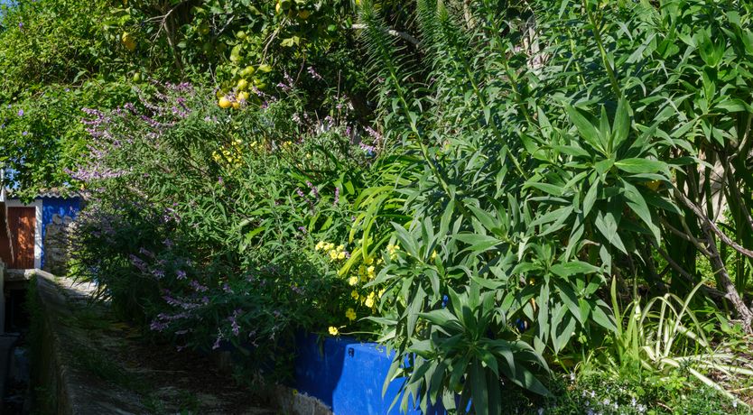 Photo of Atlantic Aria