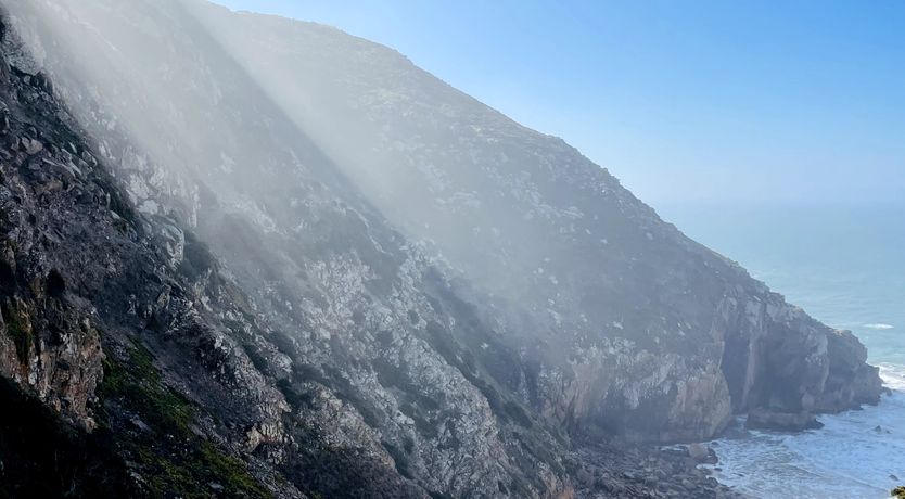 Photo of Atlantic Aria