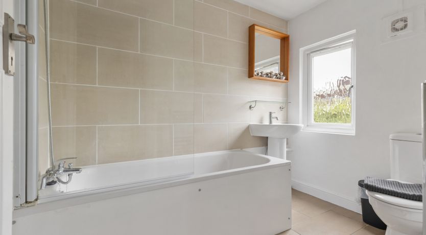 Photo of A Bright New Day