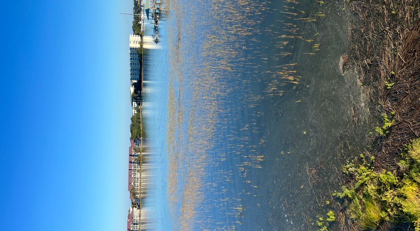 Photo of River Reach