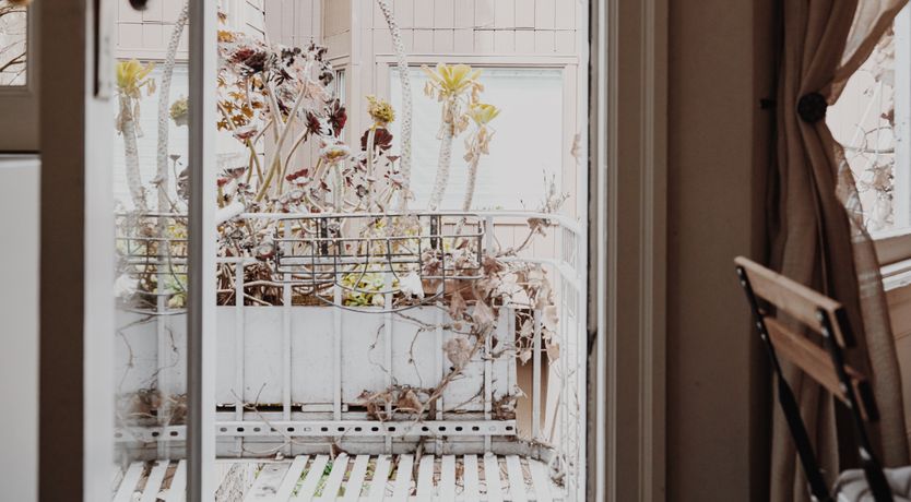 Photo of Sunlight Beauty