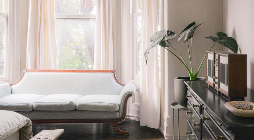 Photo of Sunlight Beauty