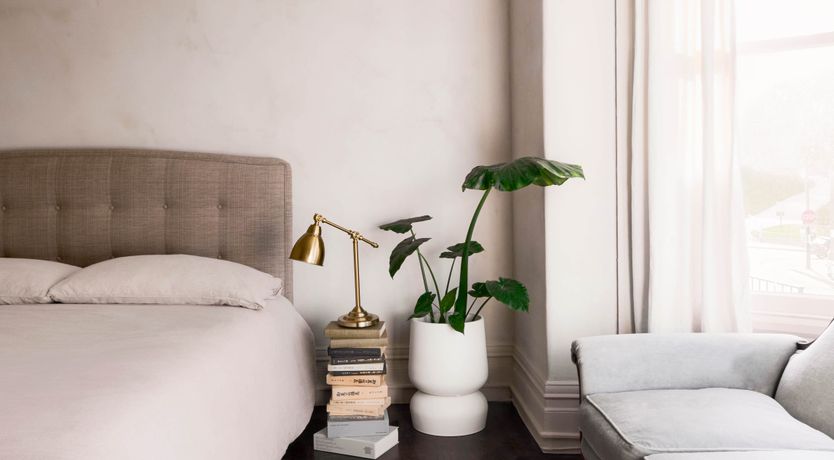 Photo of Sunlight Beauty