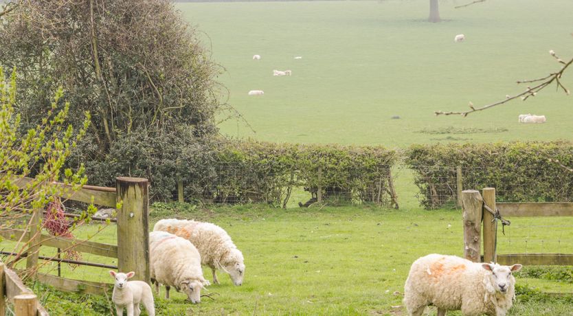 Photo of Orchard Cottage