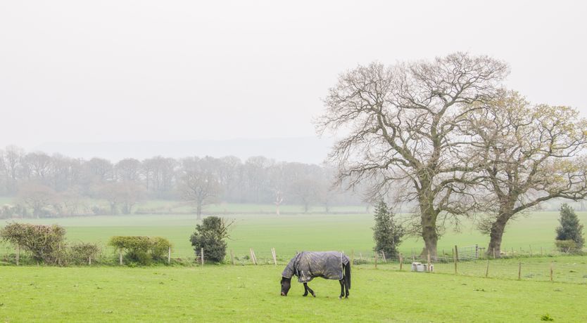 Photo of Orchard Cottage