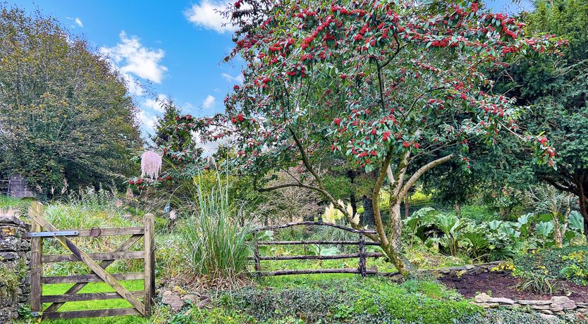 Photo of Lane End Cottage, North Molton