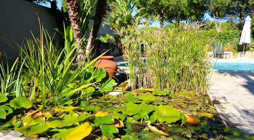 Photo of Algarve Dreamer