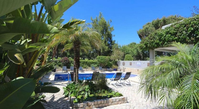 Photo of Algarve Dreamer