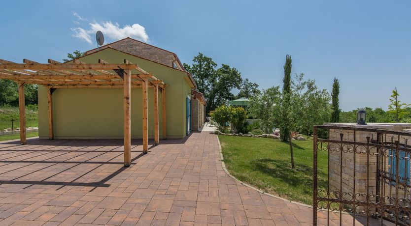 Photo of Yellow Willow