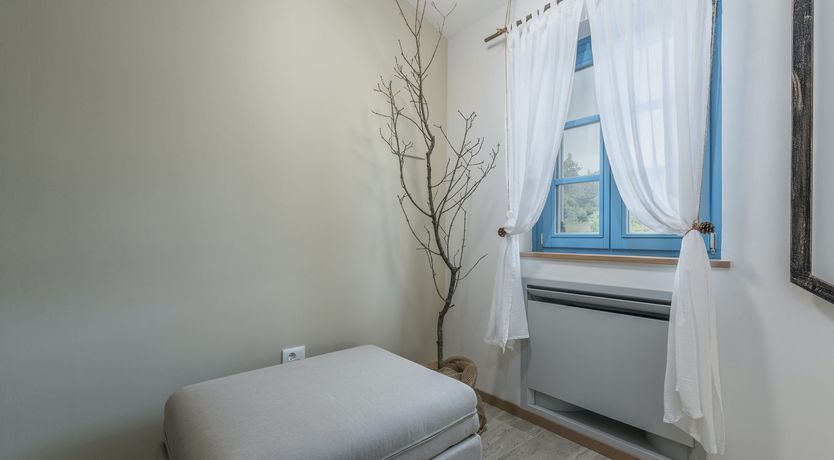 Photo of Yellow Willow