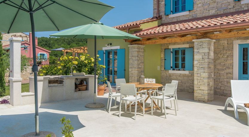 Photo of Yellow Willow