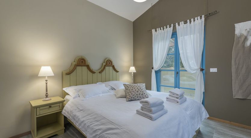 Photo of Yellow Willow