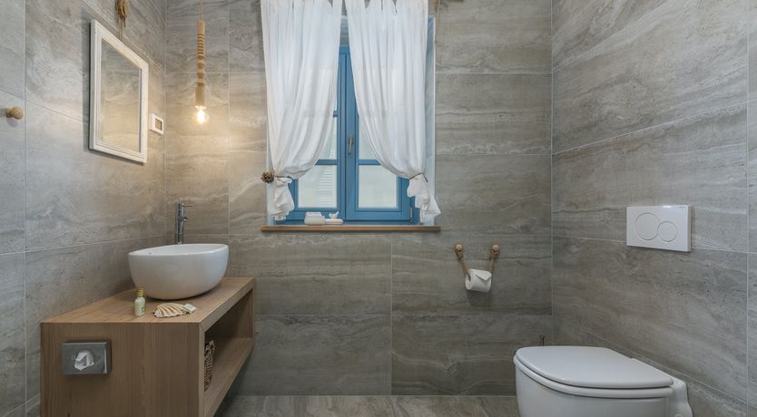 Photo of Yellow Willow