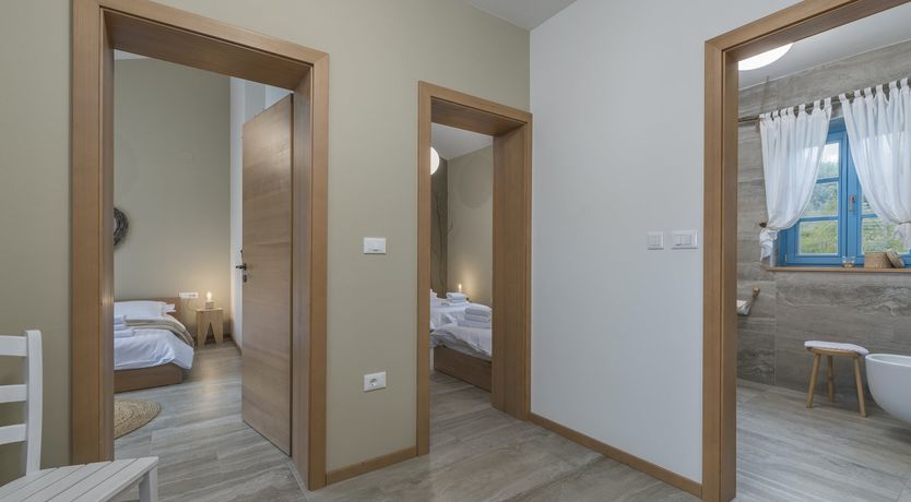 Photo of Yellow Willow