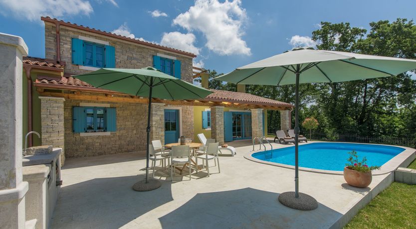 Photo of Yellow Willow