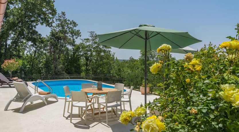 Photo of Yellow Willow