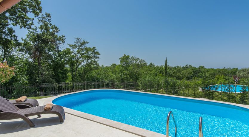 Photo of Yellow Willow