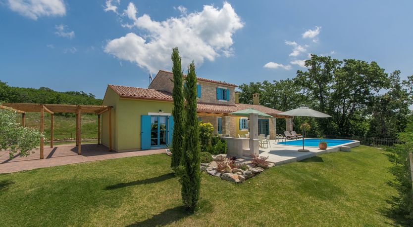 Photo of Yellow Willow