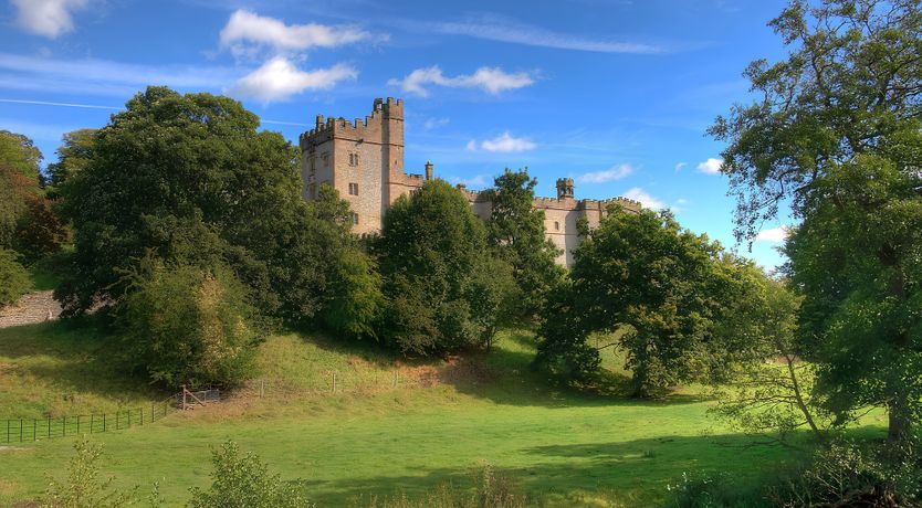 Photo of Harp's Nest