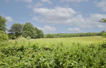 The Secret Garden Haven Holiday Cottage