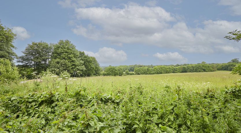 Photo of The Secret Garden Haven