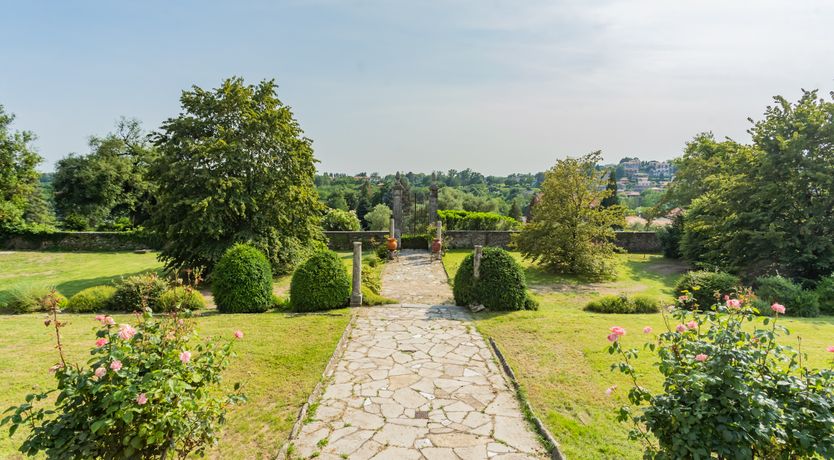 Photo of The Waves of History