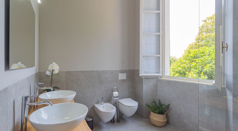 Photo of The Waves of History