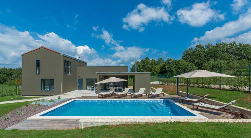 Photo of The Honey Bee's Song