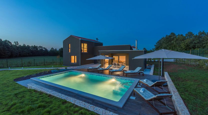 Photo of The Honey Bee's Song