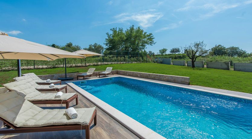 Photo of The Honey Bee's Song