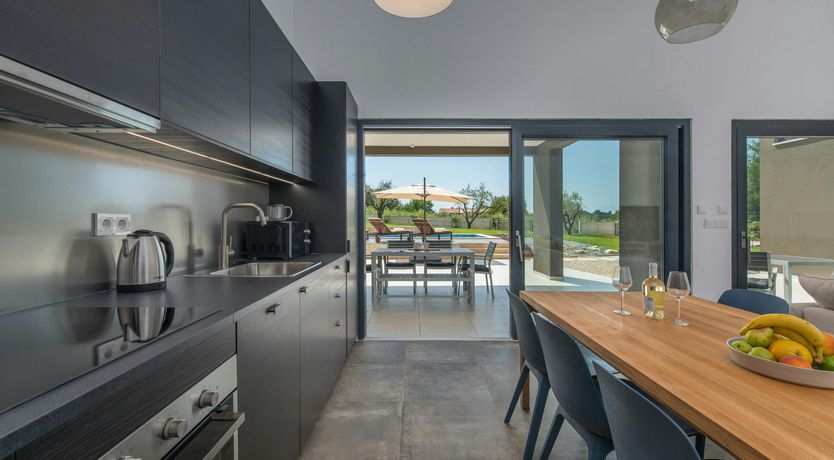 Photo of The Honey Bee's Song