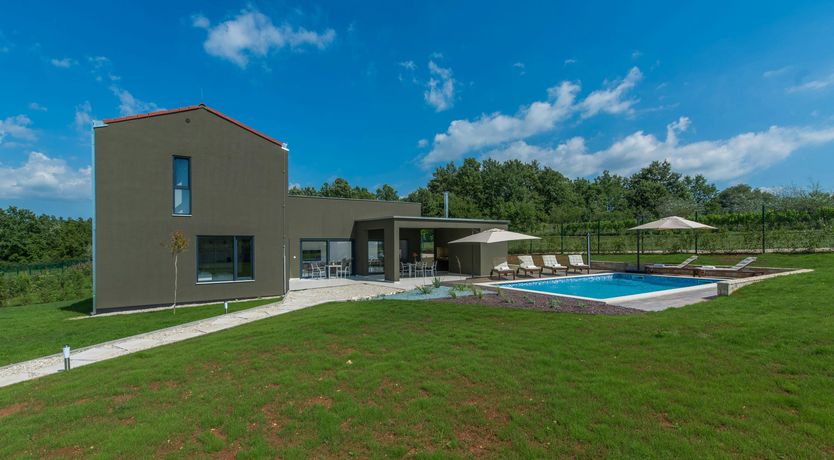 Photo of The Honey Bee's Song