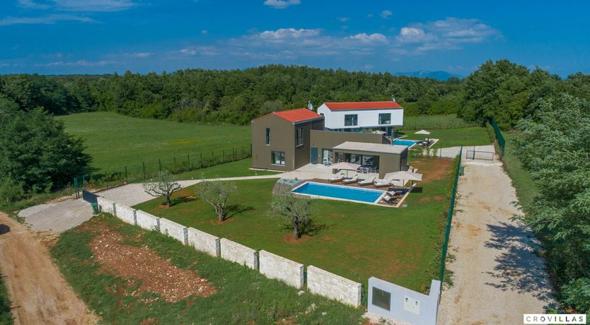 Photo of The Honey Bee's Song