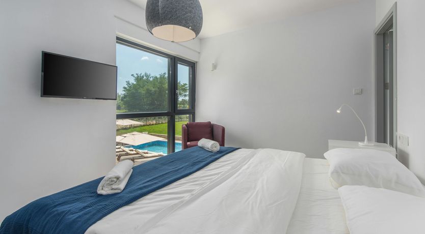 Photo of The Honey Bee's Song