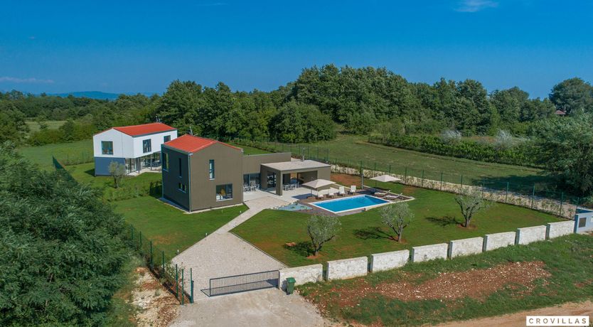 Photo of The Honey Bee's Song